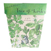 Sow 'n Sow Gift of Seeds Trio of Herbs