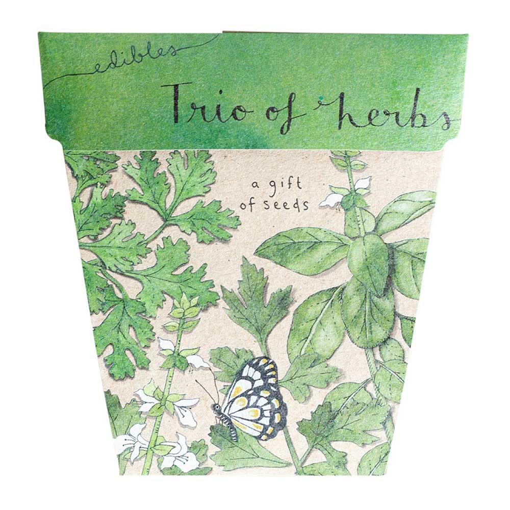 Sow 'n Sow Gift of Seeds Trio of Herbs