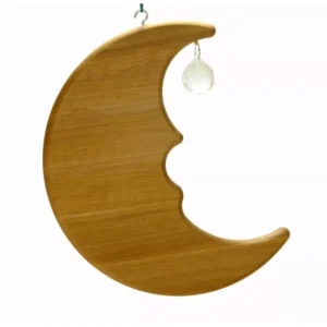 Drewart Moon with Crystal