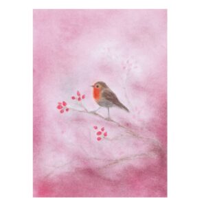 Seccorell Postcard Red Robin