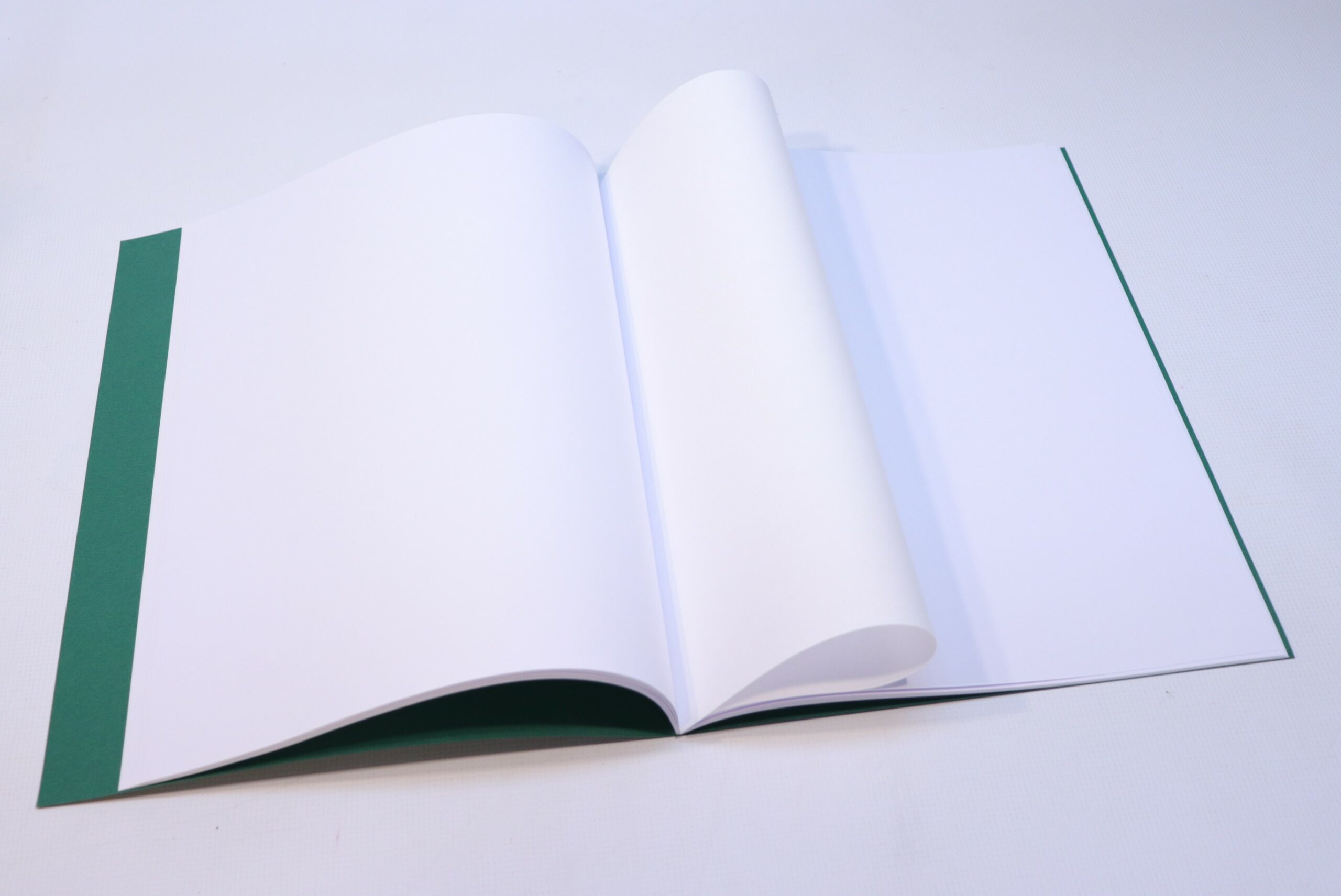 Sedulus Main Lesson Book Oversize A4 Dark Green w Tissue - Image 3