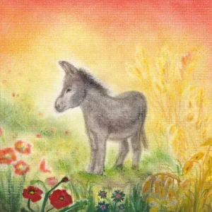 Seccorell Postcard Donkey