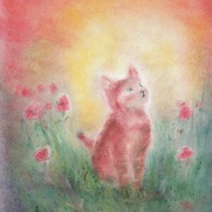 Seccorell Postcard Cat