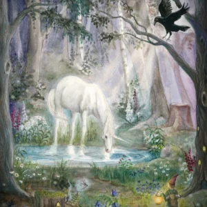 Postcard Midnight Forest