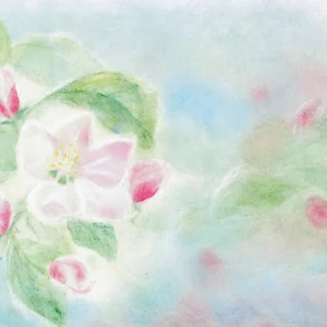 Seccorell Postcard Apple Blossom