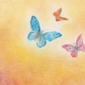 Seccorell Postcard Butterflies