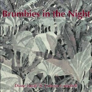 Brumbies in the Night