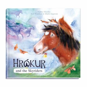Hrokur and The Skyriders Book