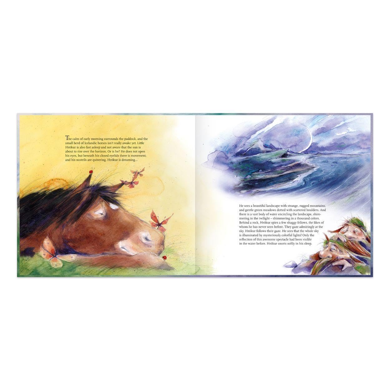 Hrokur and The Skyriders Book 2 Hrokur and The Skyriders Book - Image 2
